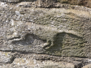 The Beast of Binchester