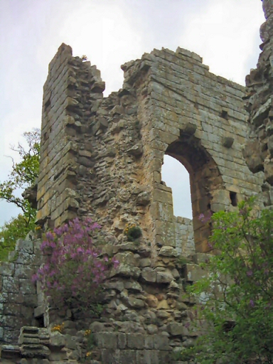 MidJer_Abbey4.JPG