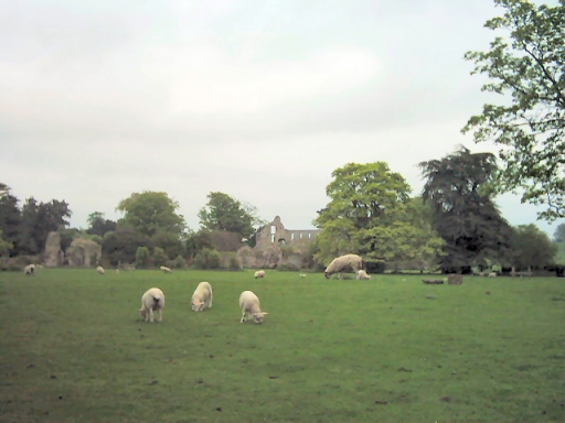MidJer_Abbey7.JPG