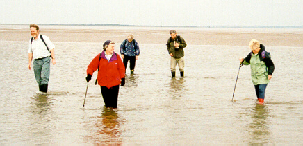 Sands2