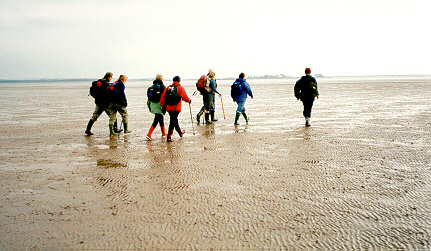 Sands1