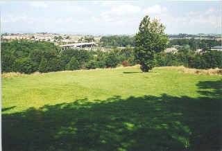 Vicarage Fields