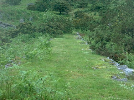 The remains of the tramway used to transport iron ore from Nab Gill to the railway
